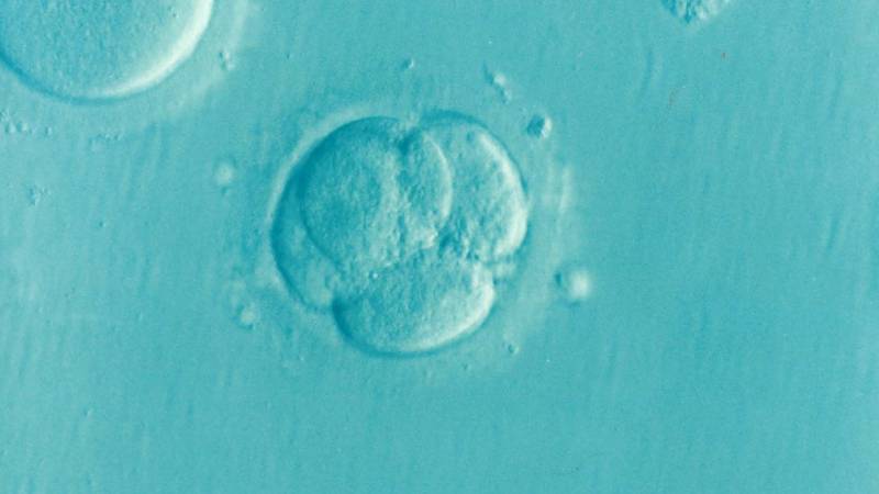 Dopo quanti giorni dal transfer si impianta l’embrione? La risposta di Docticare.it